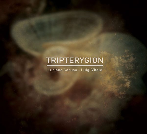 CARUSO | VITALE Tripterygion