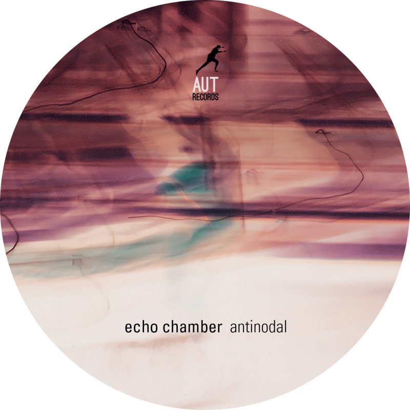 ECHO CHAMBER <br/> Antinodal (ep) - Image 4