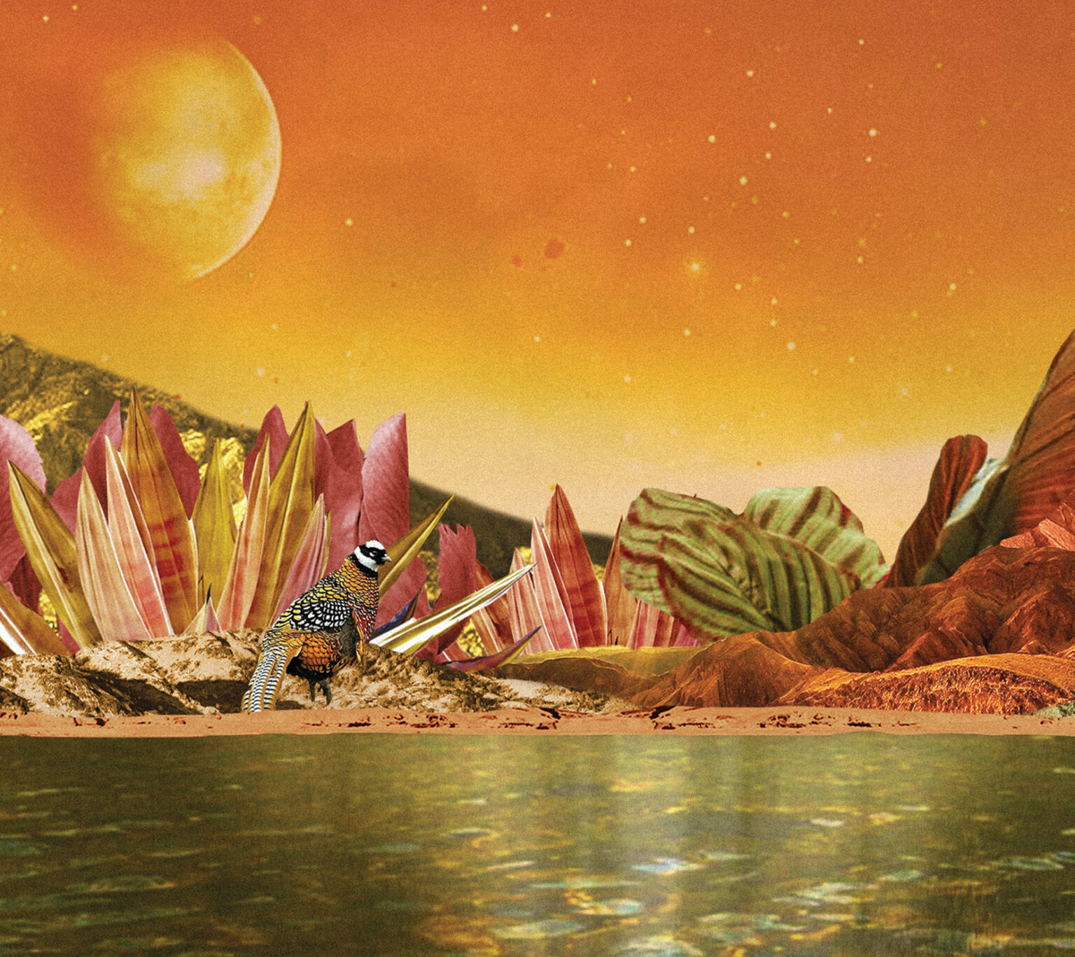 TELL NO LIES Anasyrma Aut Records