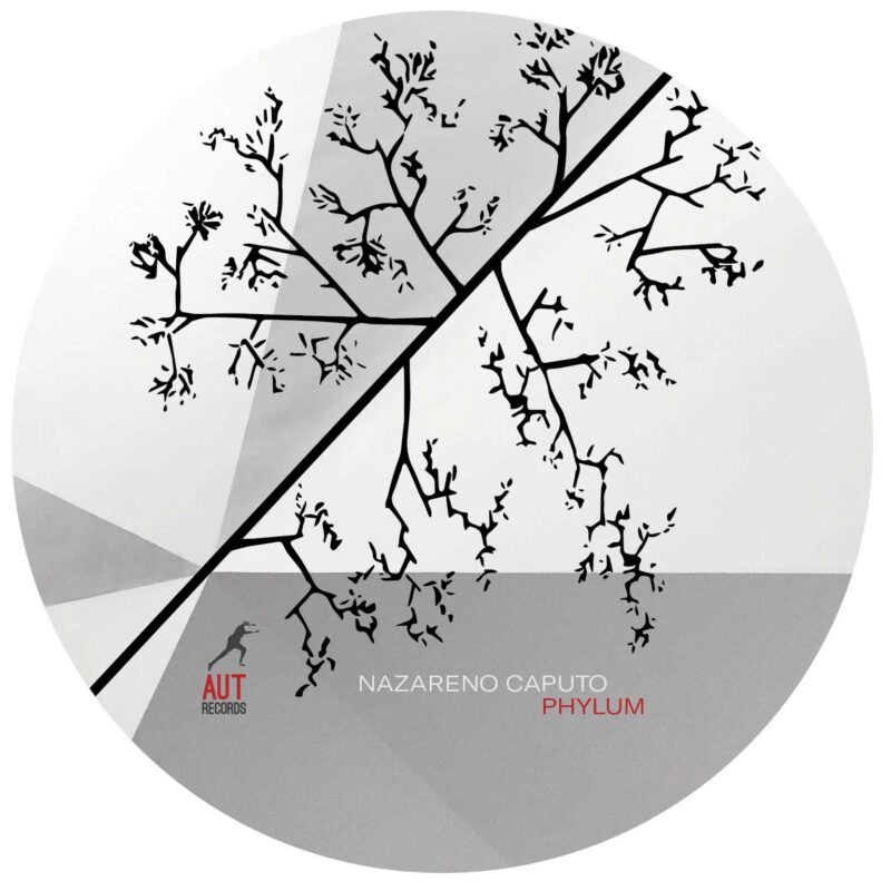 NAZARENO CAPUTO<br/> Phylum - Image 5