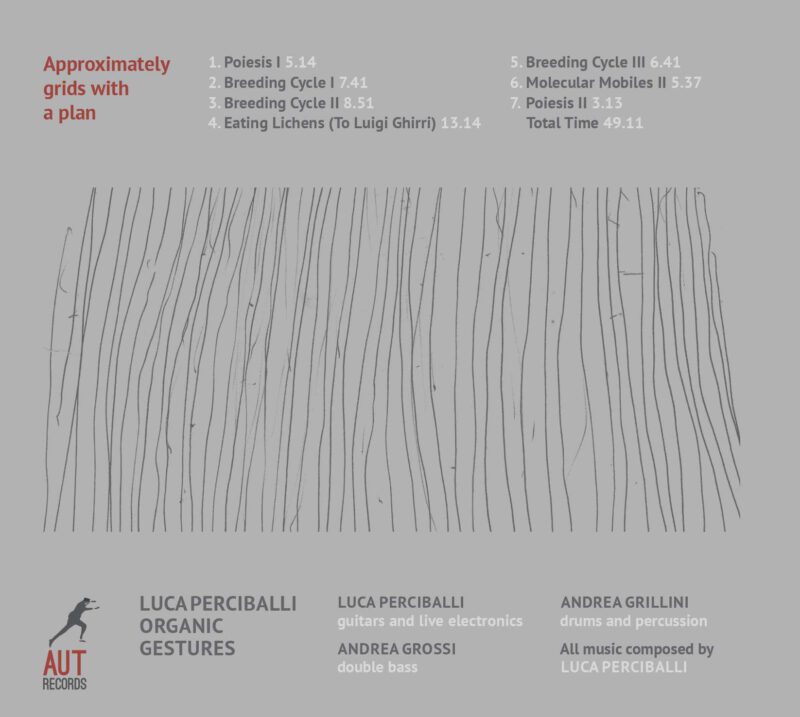 LUCA PERCIBALLI ORGANIC GESTURES<br/> Approximately Grids with a Plan - Image 2