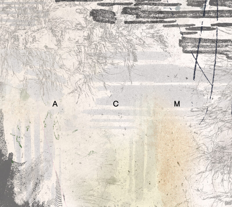 ACM<br/> s/t