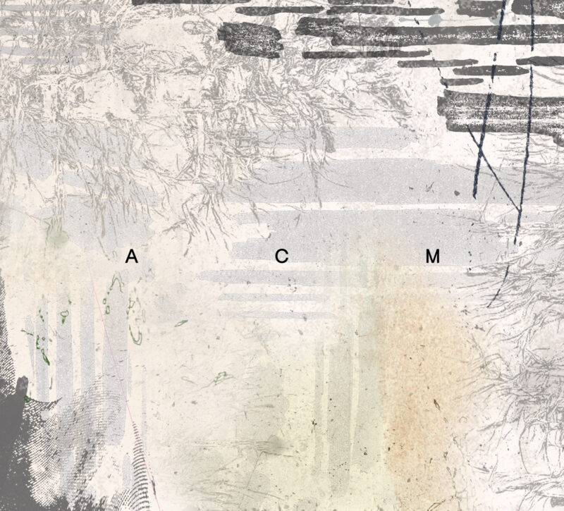 ACM<br/> s/t