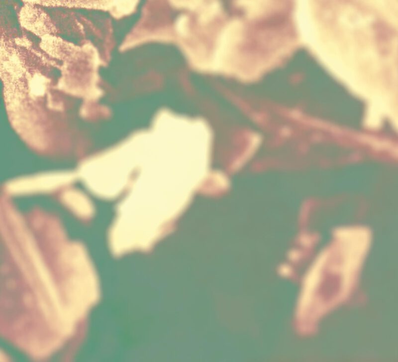 MAX ARSAVA <br/> Nowhere Dense - Image 4