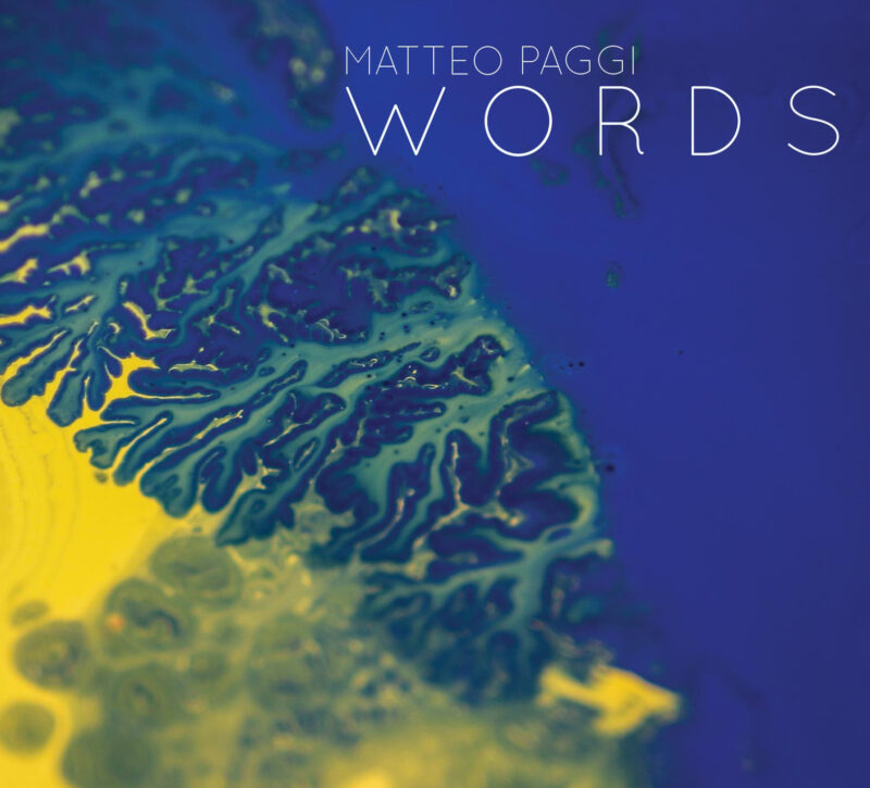 MATTEO PAGGI W O R D S <br/> <em> words </em>