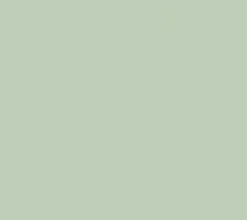 NAOM <br/>  Radici - Image 4