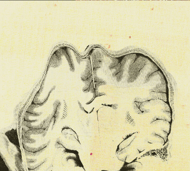 CHAOSMOSE<br/>  Minima Moralia - Image 4