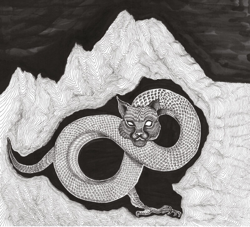 ANTONIO BERTONI MASSIMO DE MATTIA STEFANO LEONARDI<br/>  Tatzlwurm