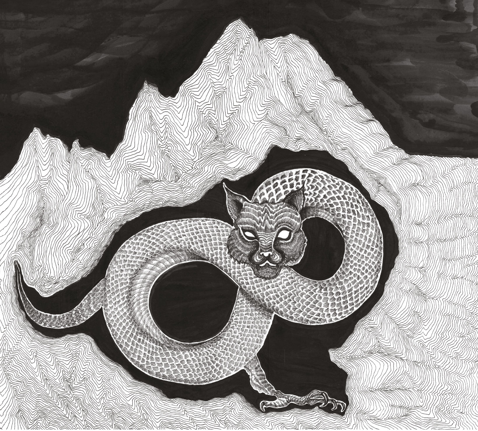 ANTONIO BERTONI MASSIMO DE MATTIA STEFANO LEONARDI<br/> Tatzlwurm